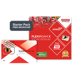 پکیج تراشه Flexiroam